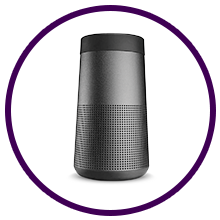 Bose Revolve Plus II Black